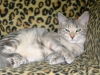 img_0786-5-1.jpg